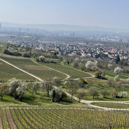 Landgasthof Rebstock Weil Am Rhein / Basel 外观 照片