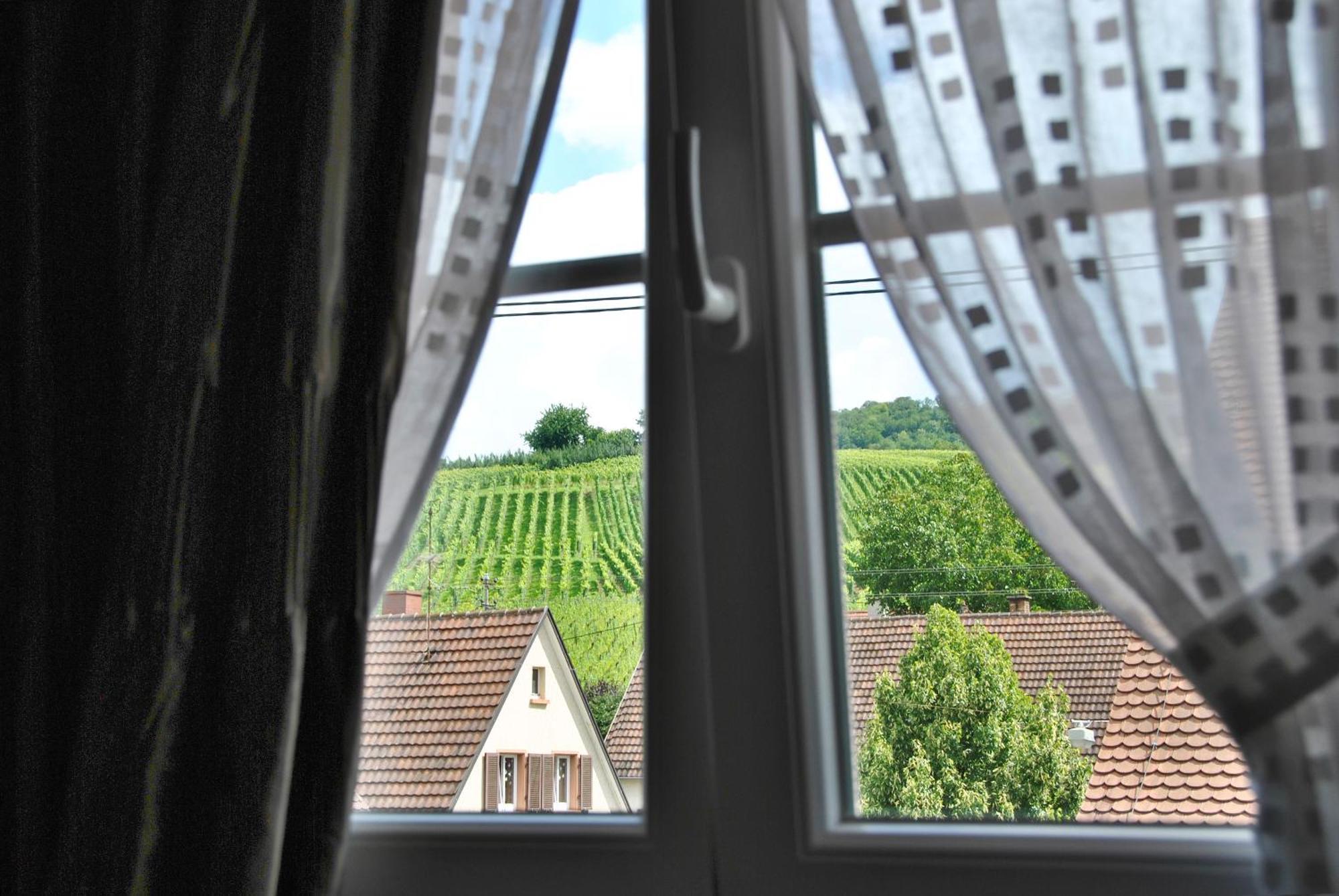 Landgasthof Rebstock Weil Am Rhein / Basel 外观 照片